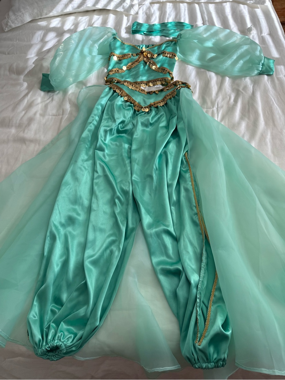 Women princess Jasmine Aqua Green Princess Costume with Gold Trim